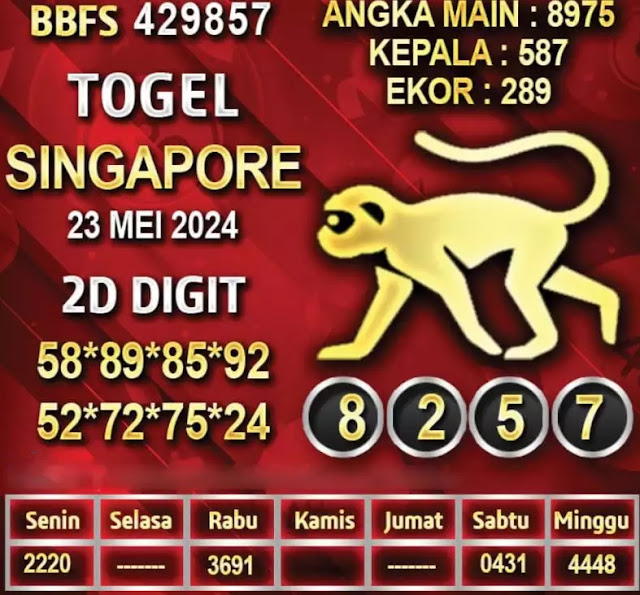 SYAIR SGP VIP